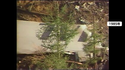 御巣鷹の尾根に今も残るV字のくぼみ…家族ら「慰霊登山」で改めて空の安全を祈る　日航機墜落事故から40年