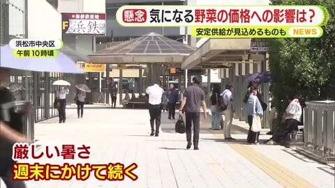 「日なたは耐えられない…」 浜松・佐久間で2日連続の体温超えの気温　続く猛暑に気になる野菜の価格は？ 静岡