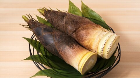たけのこ大量消費！簡単下ゆで方法と野菜ソムリエいち押しの食べ方5選。「シュウ酸」「白い謎の粉」についても解説