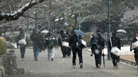週末は大学入学共通テスト当日…降雪はあるか？積雪状況は？足元は大丈夫？土日の天気を解説