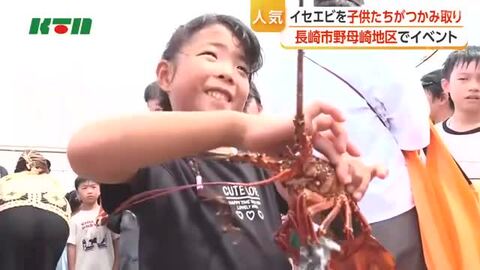  イセエビのみそ汁に行列　子供たちはつかみ取り　長崎市野母崎地区で「伊勢エビまつり」