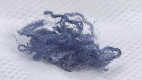 洗濯も要注意!排水の繊維くずがプラスチックごみに!?