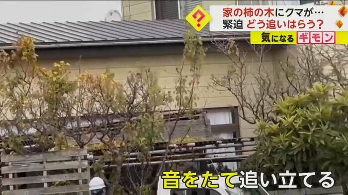 (視聴者撮影)