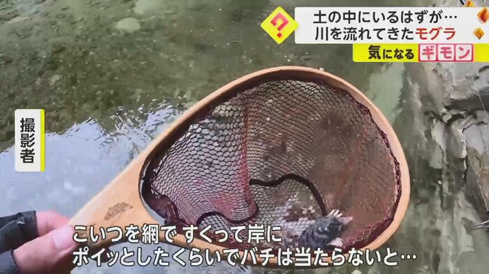 「たぶん助けたんだと思います」と題した動画は1470万回以上再生された