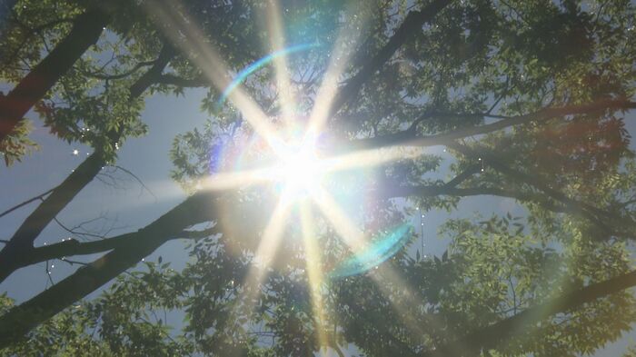 日焼けには細胞の遺伝子を守る働きも