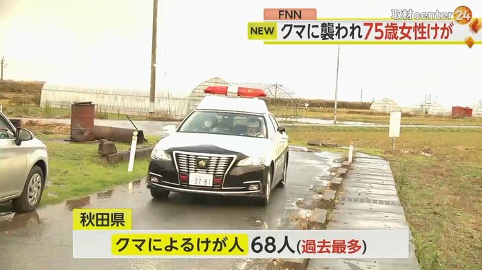 秋田県内でクマによるけが人は68人となり過去最多に