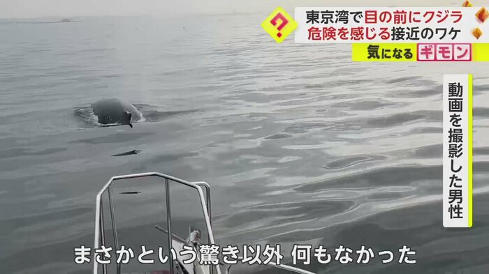 (画像:ビデオポスト(視聴者投稿映像)より)