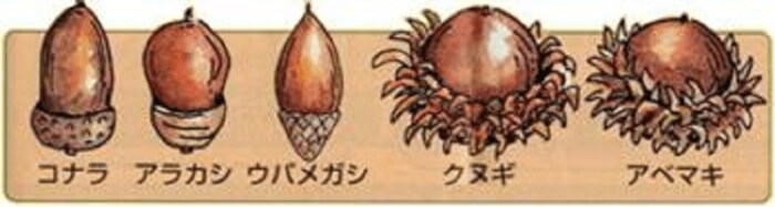 種類は問わない