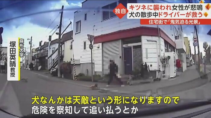 「防衛に近いような行動の一種かもしれません」