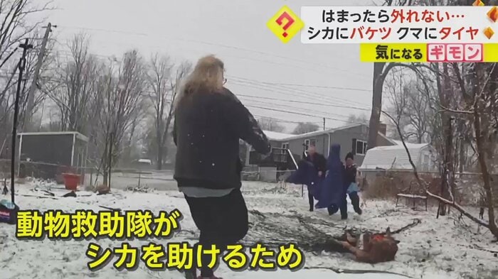準備した仕掛け
