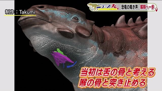 比較研究などで呼吸や鳴き声に関わる喉の骨と判明