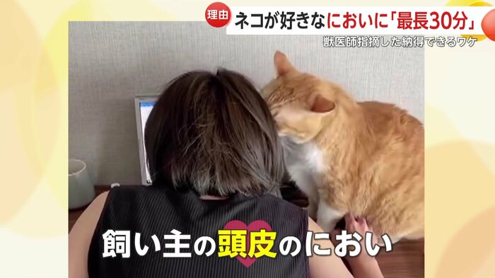 ぐっぴーは頭皮もかぶりつきでクンクン(提供:@gupitaro)