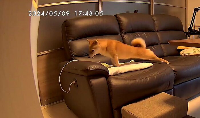 投稿の写真