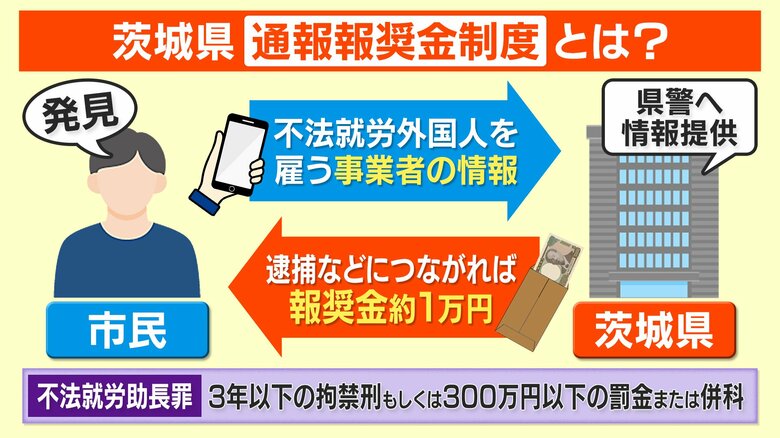 【物議】茨城 外国人不法就労通報で報奨金1万円！？ 背景に全国ワースト1の現状…専門家「外見で判断できないため差別を助長する恐れ」｜FNNプライムオンライン