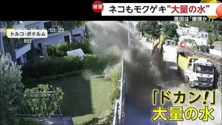 「こりゃタマらん」猫もビックリ！エーゲ海リゾートで噴き出す“大量の水”…水道管破裂で車のガラスは粉々、住宅9軒浸水　トルコ｜FNNプライムオンライン