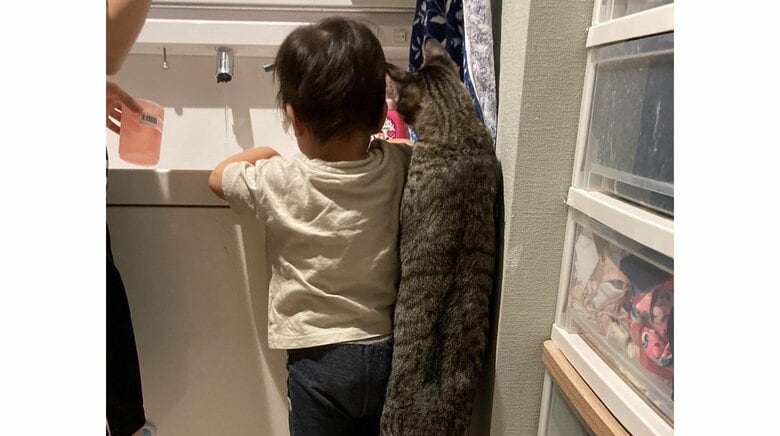 お水が気になる？猫と男の子の“1歳コンビ”の後ろ姿がベストショットで可愛い…関係性を父親に聞いた｜FNNプライムオンライン