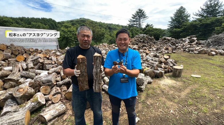 病気で枯れた木々に再び命を宿す！「ナラ枯れ」の木で“キノコ栽培”「特産品になれたら嬉しい」【アスヨク！】｜FNNプライムオンライン