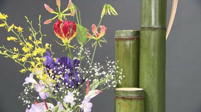 大丸福岡天神店で「西日本華道連盟いけばな展」　13流派の約230点を展示　最年少5歳の作品も　3月16日まで｜FNNプライムオンライン