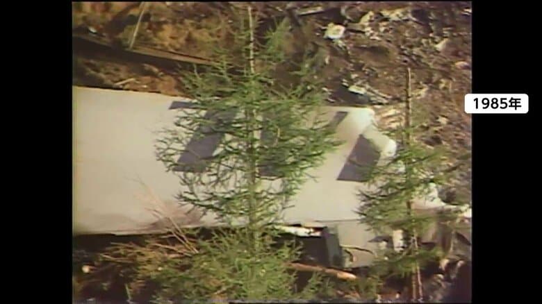 御巣鷹の尾根に今も残るV字のくぼみ…家族ら「慰霊登山」で改めて空の安全を祈る　日航機墜落事故から40年｜FNNプライムオンライン