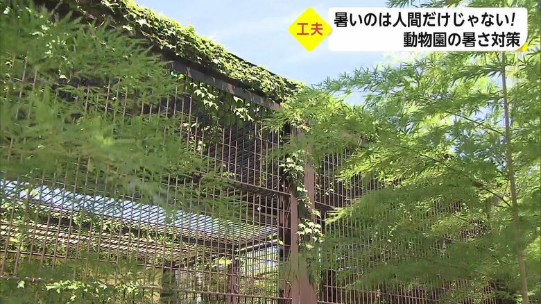 おりの上部に、黒い遮光ネットが設置されている