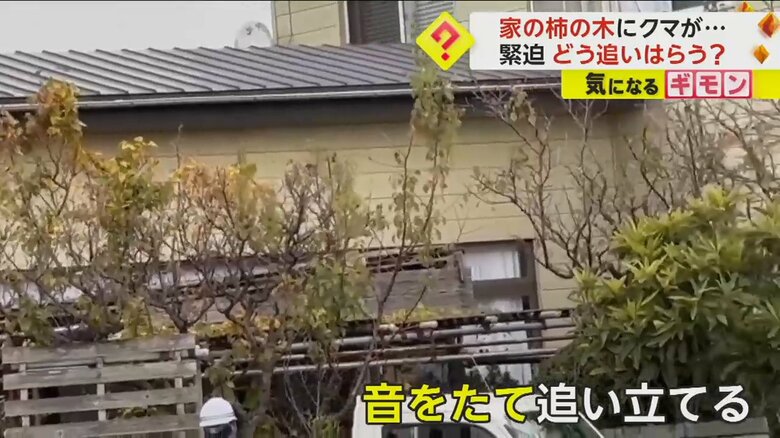 （視聴者撮影）