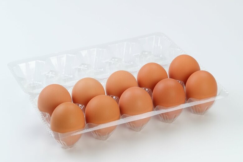 イメージ（卵）