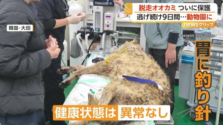 動物園に戻り検査を受けた