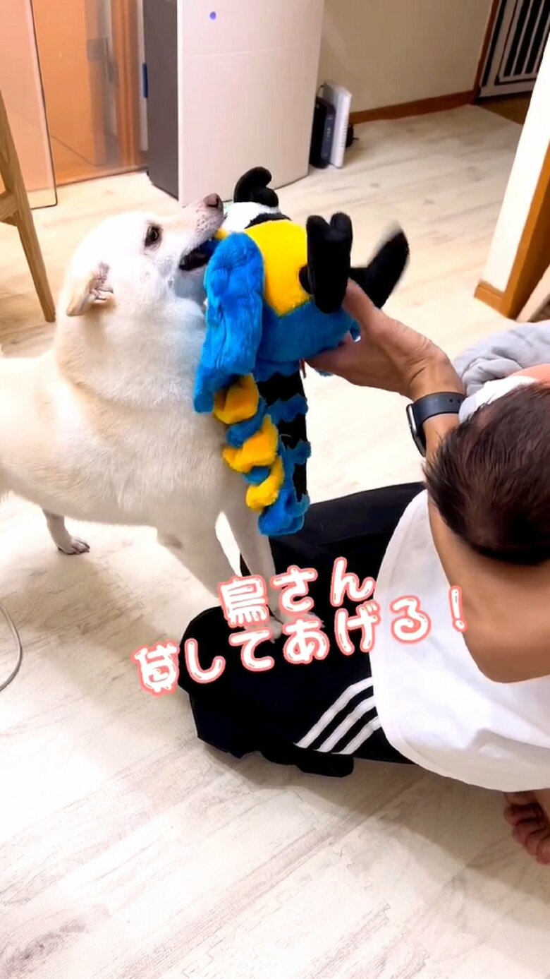 優しい“姉”の姿に飼い主さんもほっこり