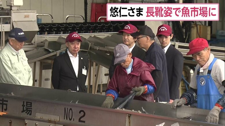 気仙沼漁港でカツオの仕分け作業を見学される秋篠宮さまと悠仁さま（14日午前）