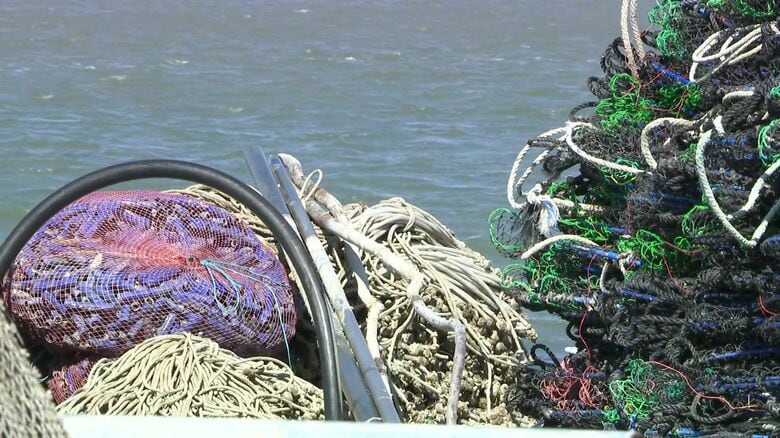 漁業用の網に絡まるシカも多い