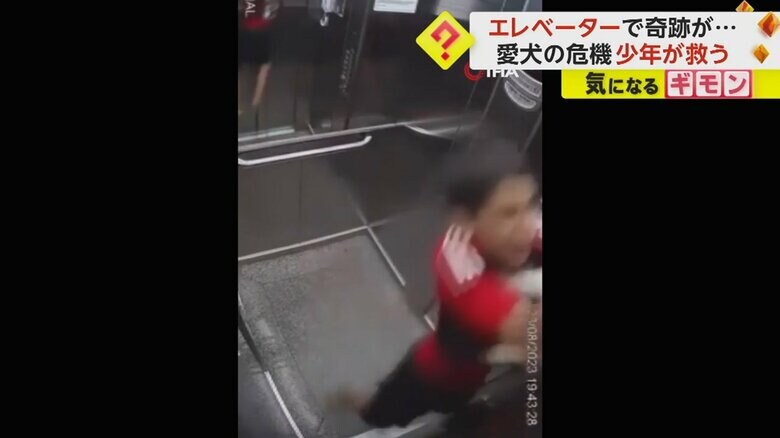 少年と犬が宙吊り状態になる（IHA）