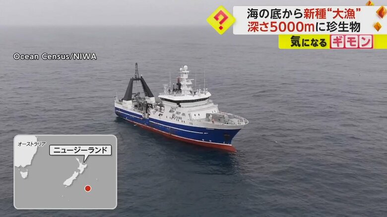 海の底で生物の調査を行った船