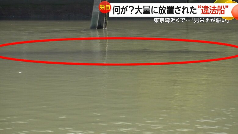 旧江戸川はまるで“船の墓場”のようになっていた