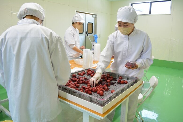 新製造所の様子