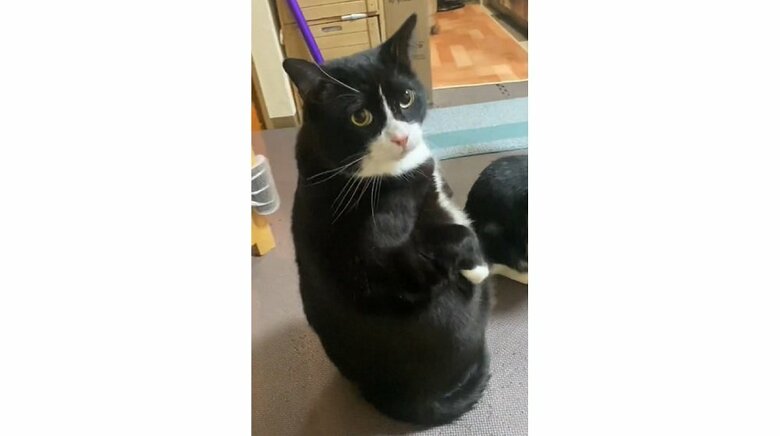 振り返ることも余裕でできる