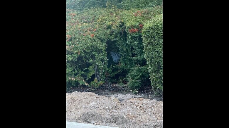 スマホ発見現場近くの様子