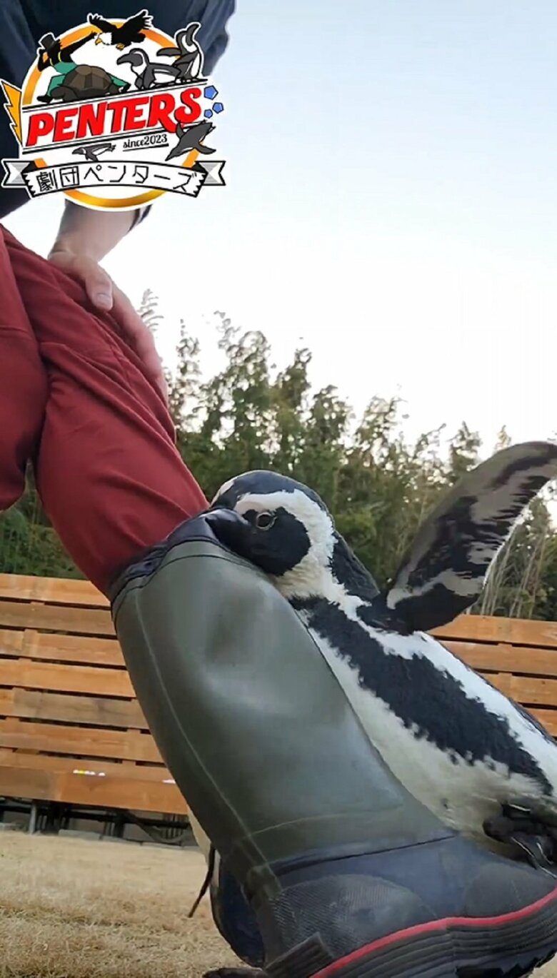 実はガンくんは怒っている！