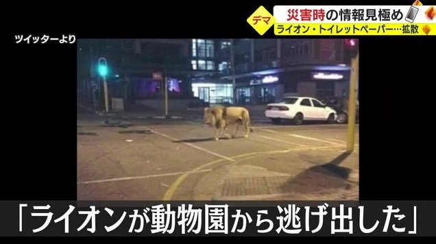 拡散された画像（ツイッターより）