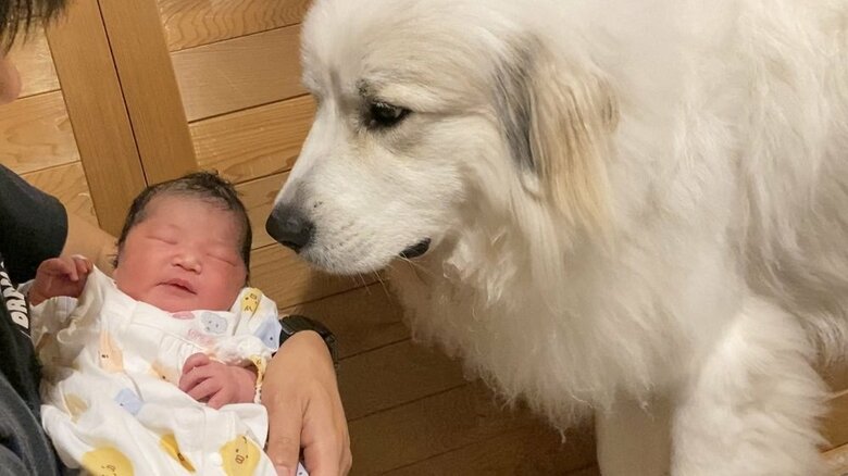 生まれたばかりの娘さんと…