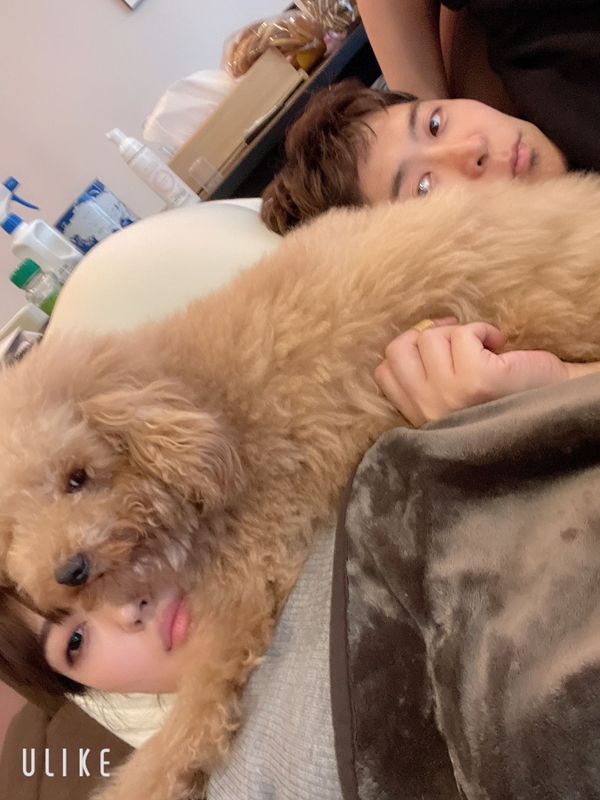 提供：ピン太郎ママさん