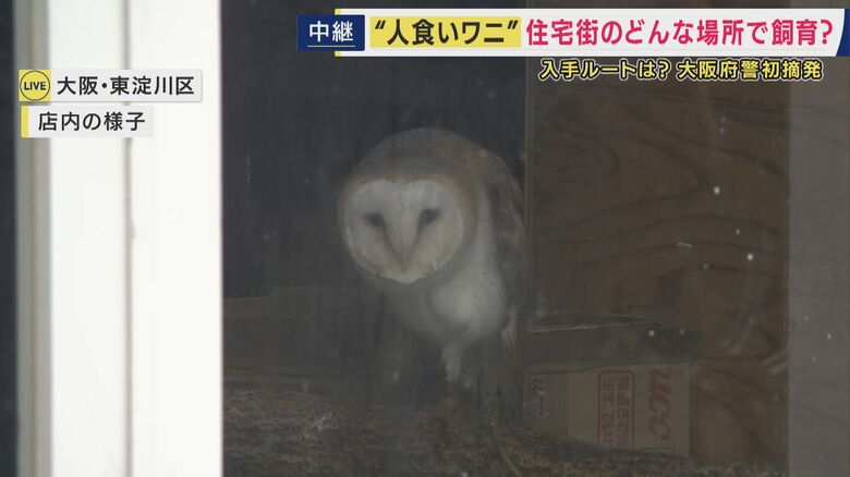 ペットショップ