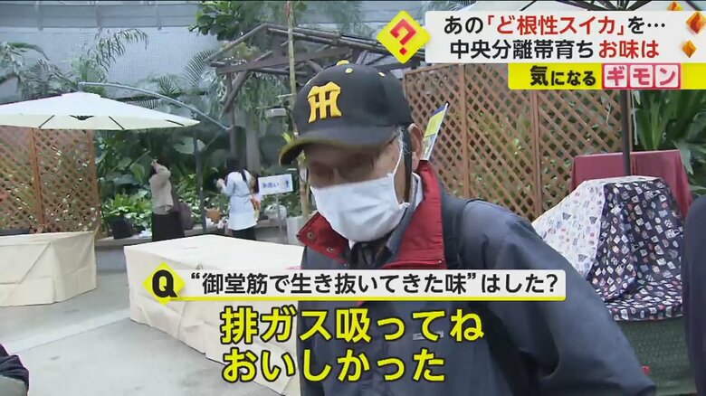 “ど根性スイカ”を食べた感想を述べる男性
