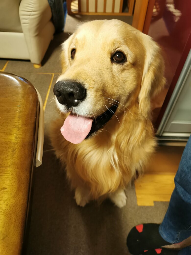 提供：ふぉるてさん