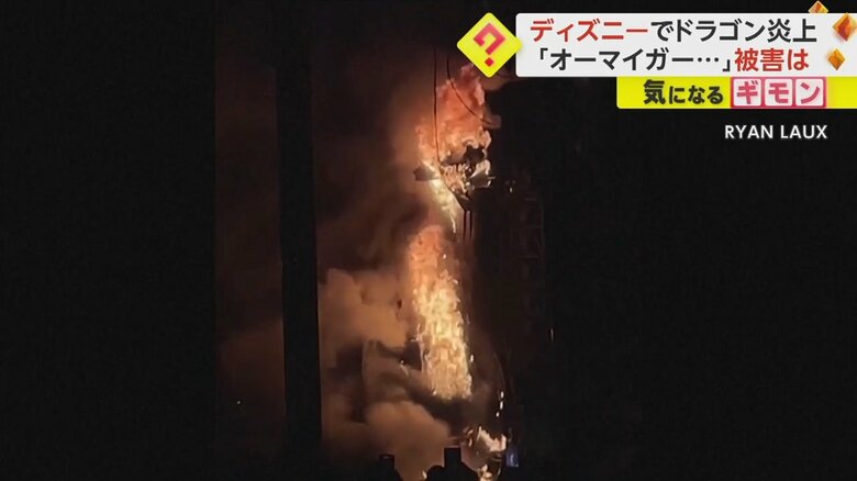 火はあっという間に全身に燃え移った