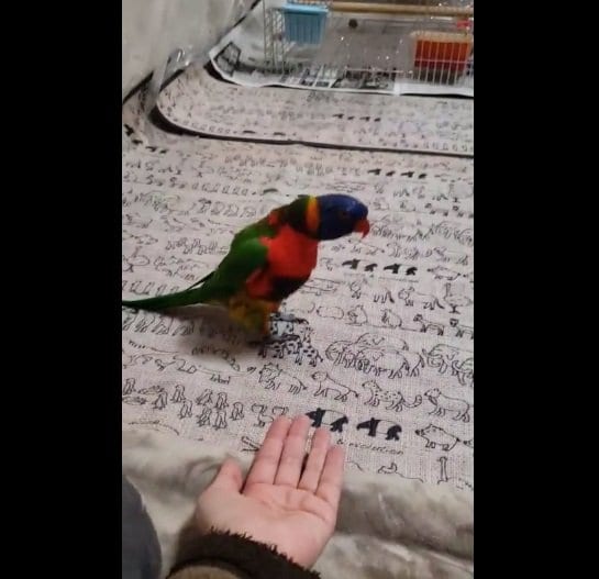 まずは屈伸運動？