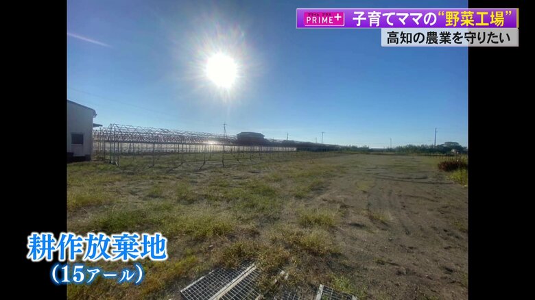 佳緒里さんが借りた農耕放棄地