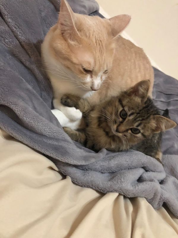 提供：たーにゃ。さん