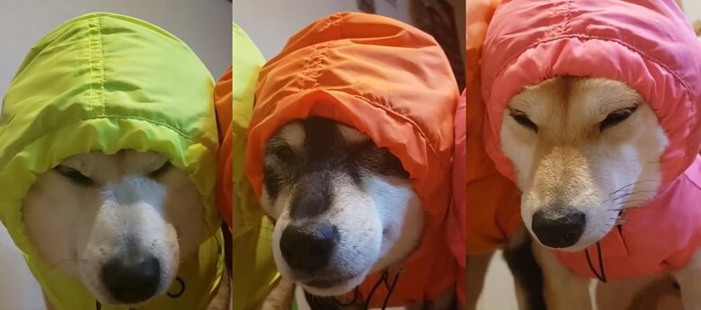 「ちーん…」といった表情