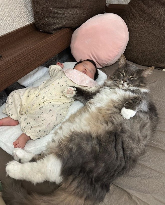 提供：エルモとみみりんさん