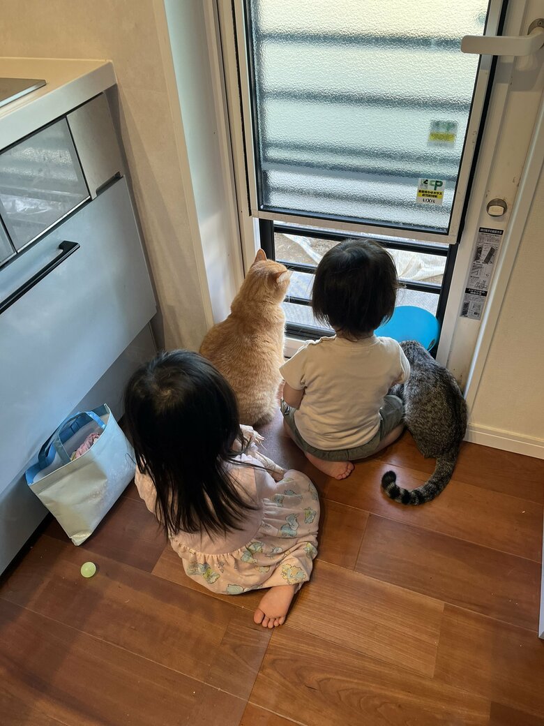 提供：すずつむふうさん